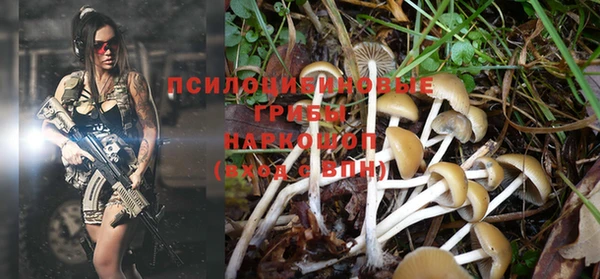 ГАЛЛЮЦИНОГЕННЫЕ ГРИБЫ Липки