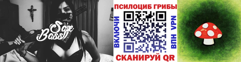 купить  сайты  Нарьян-Мар  Псилоцибиновые грибы Psilocybe 
