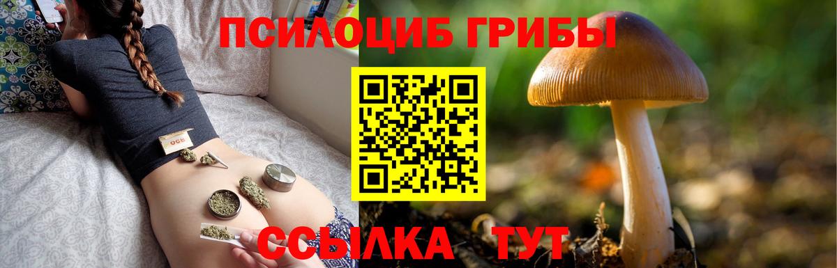 Нарьян-Мар  Галлюциногенные грибы мухоморы  Вход с VPN  как найти наркотики  Псилоцибиновые грибы мицелий 