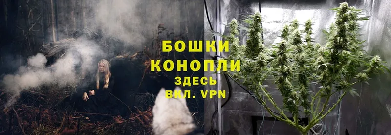 продажа наркотиков  Нарьян-Мар  Шишки марихуана Ganja 